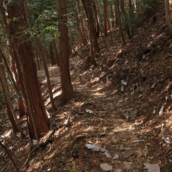 またまた狭い道😅