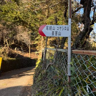 スタートです。