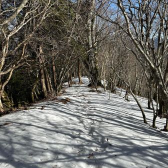深いところはくるぶし位まですっぽり⛄️
岩場下りる時だけチェーンスパ要りました