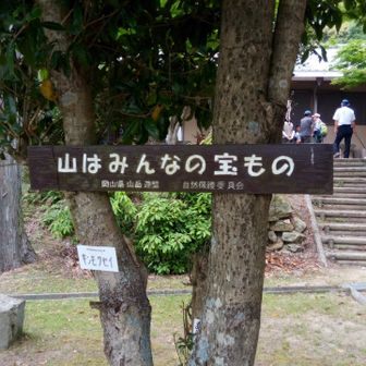 いぬばからいだー