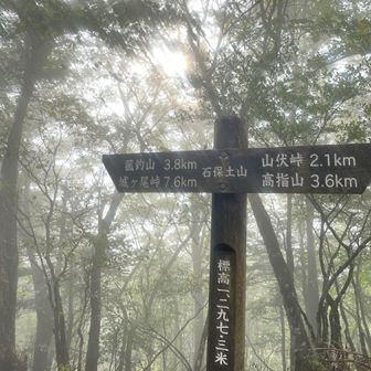 お肌には良さげなシットリ感