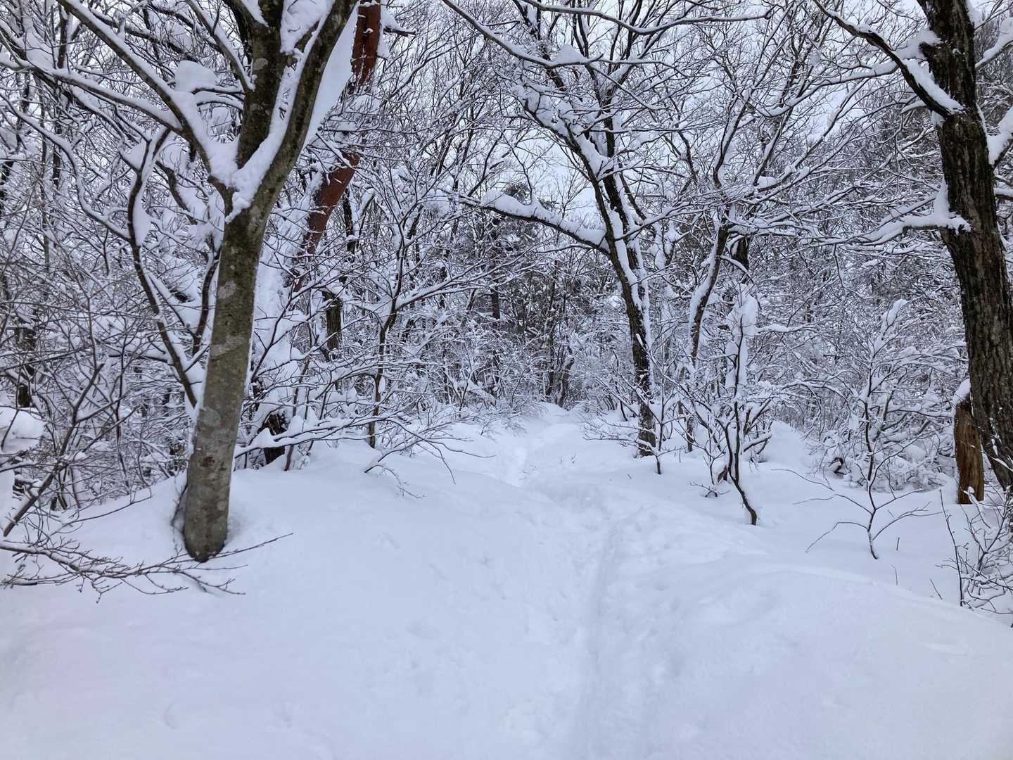 ときどきズボる