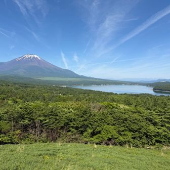 パノラマ台から
北岳、間ノ岳、農鳥岳、塩見岳、悪沢岳も見えました