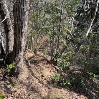 ここも車道まで急降下。