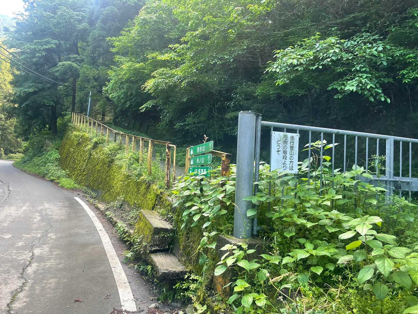 右側のコンクリート道へ