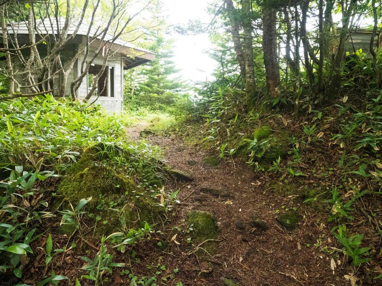 「花童子の宮跡コース」と「的岩コース」の分岐まで下りてきた。