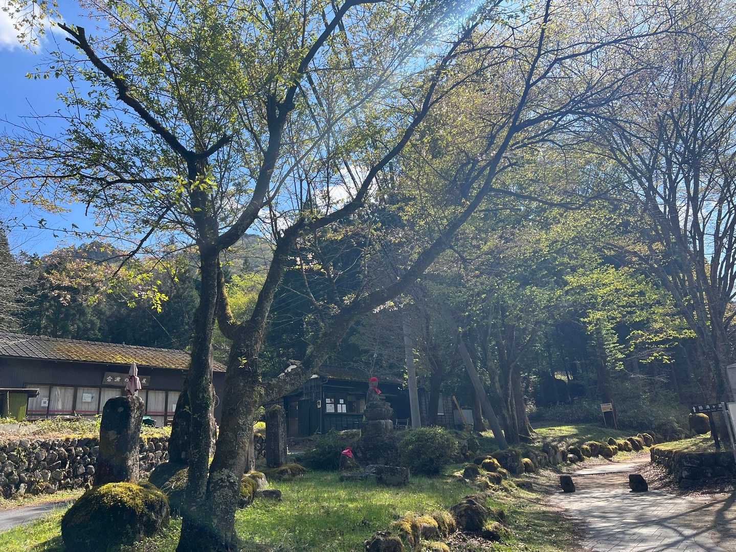 鳴虫山登山口-神ノ主山-鳴虫山-合峰-独標 縦走コースの写真