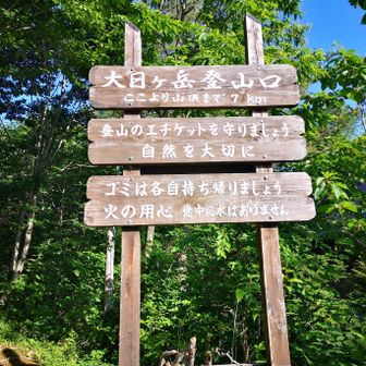 スタートします
