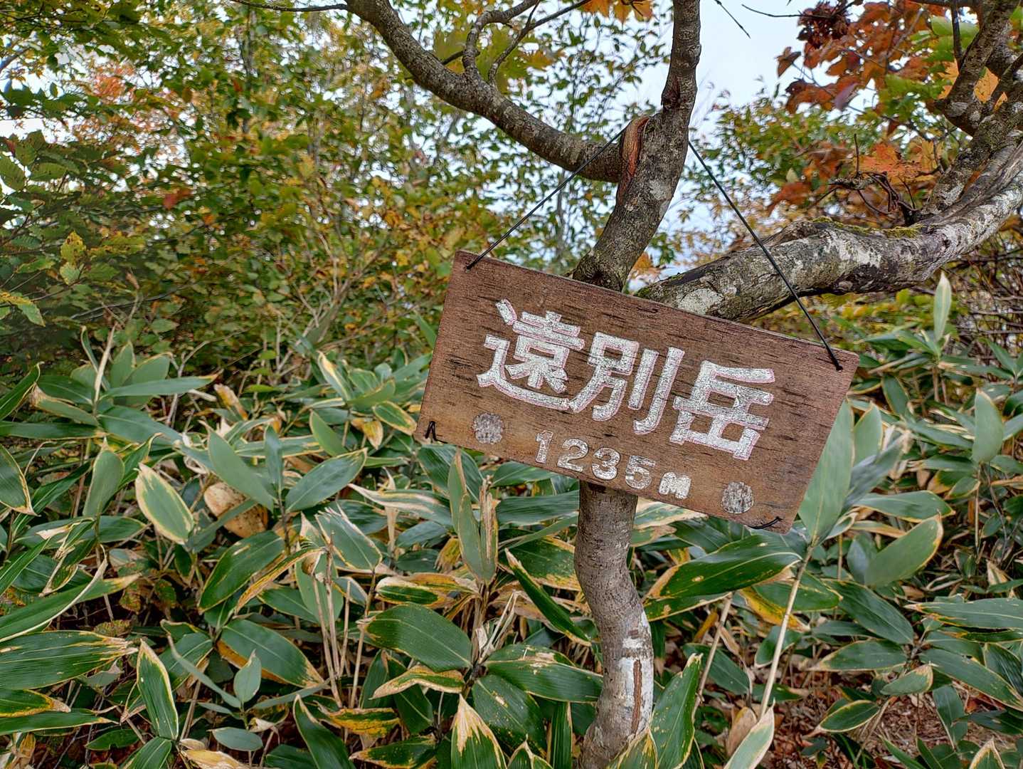 遠別岳山頂