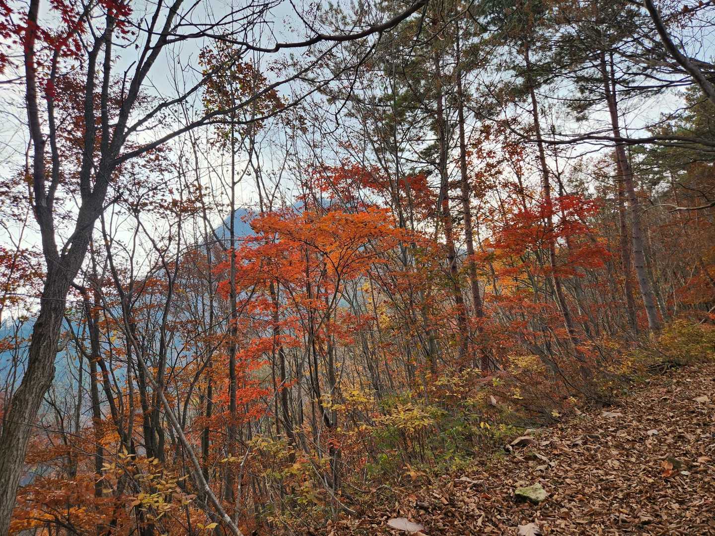 目指す吾妻耶山⛰️