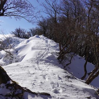 またツボ足で戻るか
