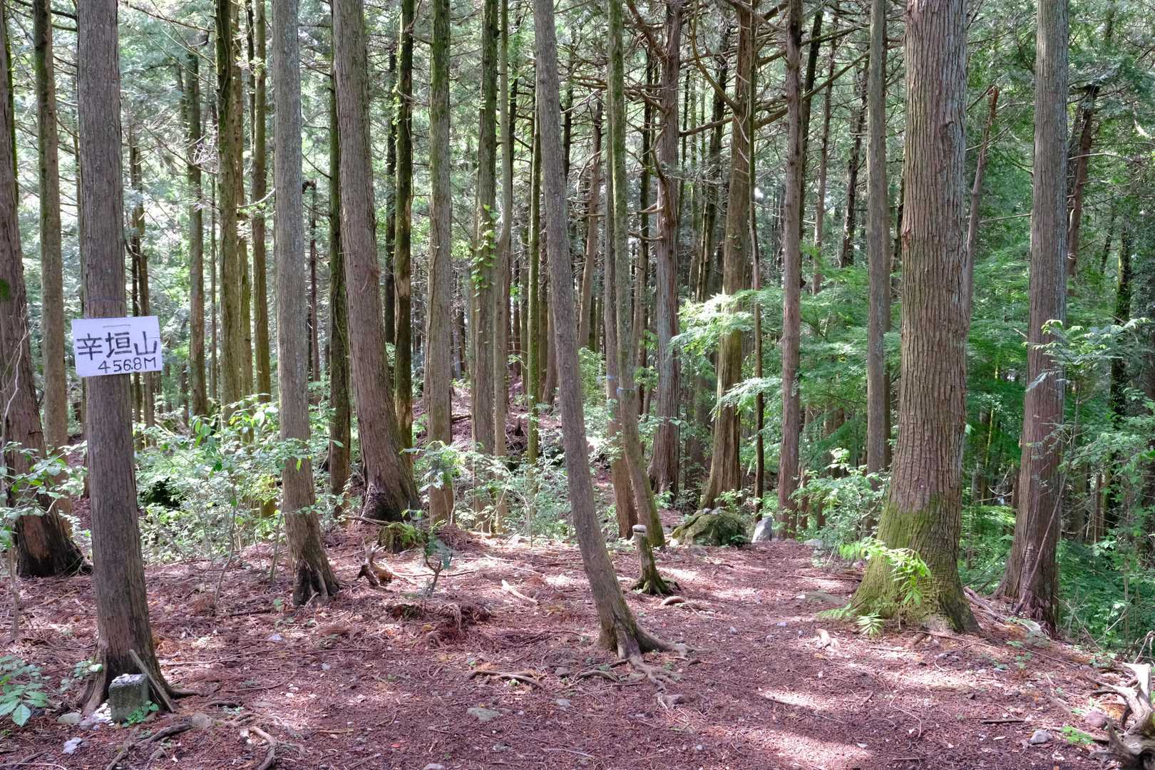 にわかにテクニカルな急登を過ぎれば、二座目となる『辛垣山(からかいやま、456m)』へ。同峰には戦国時代に山城が築かれ、戦いの舞台となったそうな。