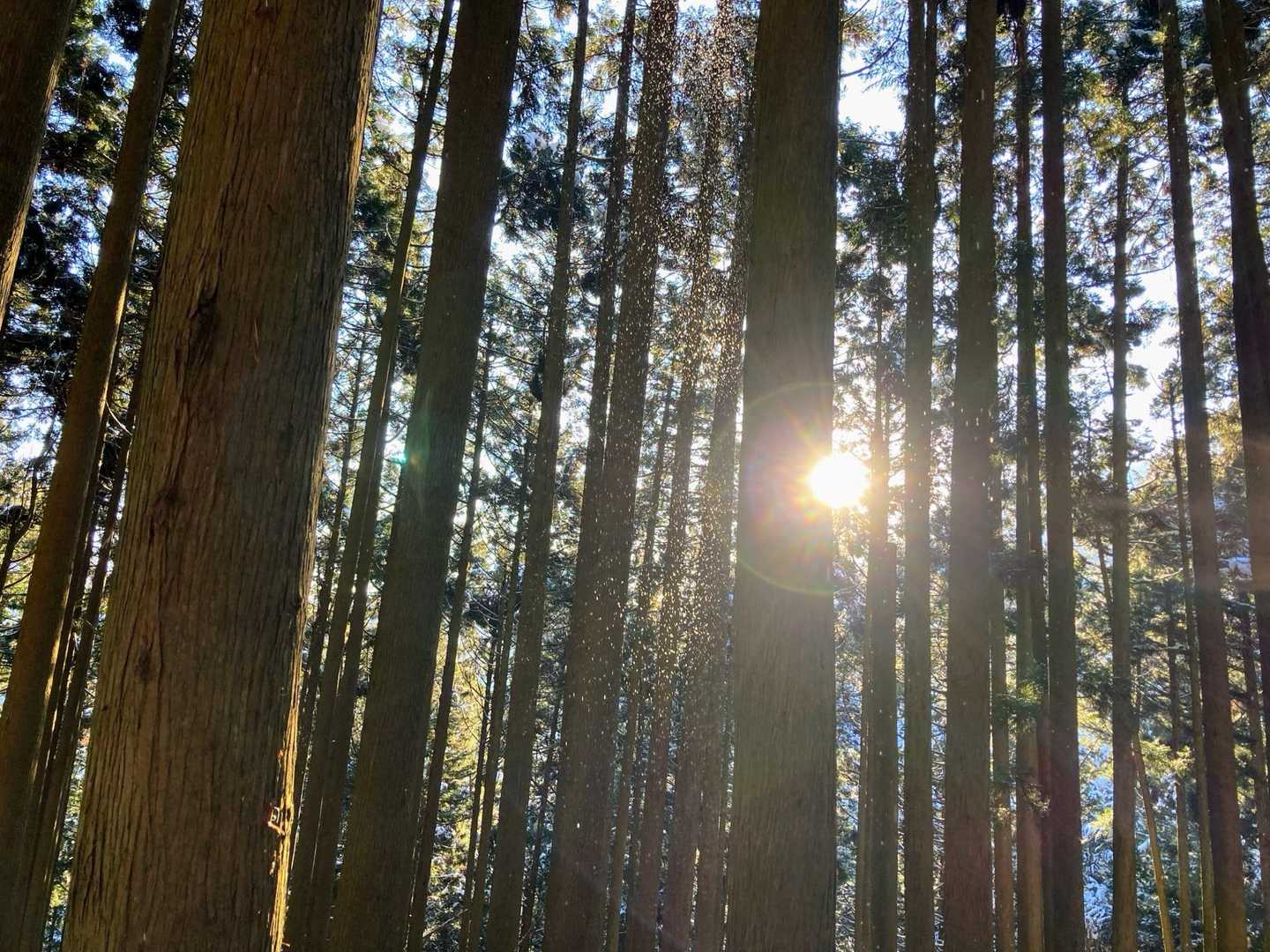 穏やかな一日にありがとうございました😊

日本アルプスの雪山も行きたくなりました。
急に予定を合わせていただいた山友さん、自然と健康に感謝です！