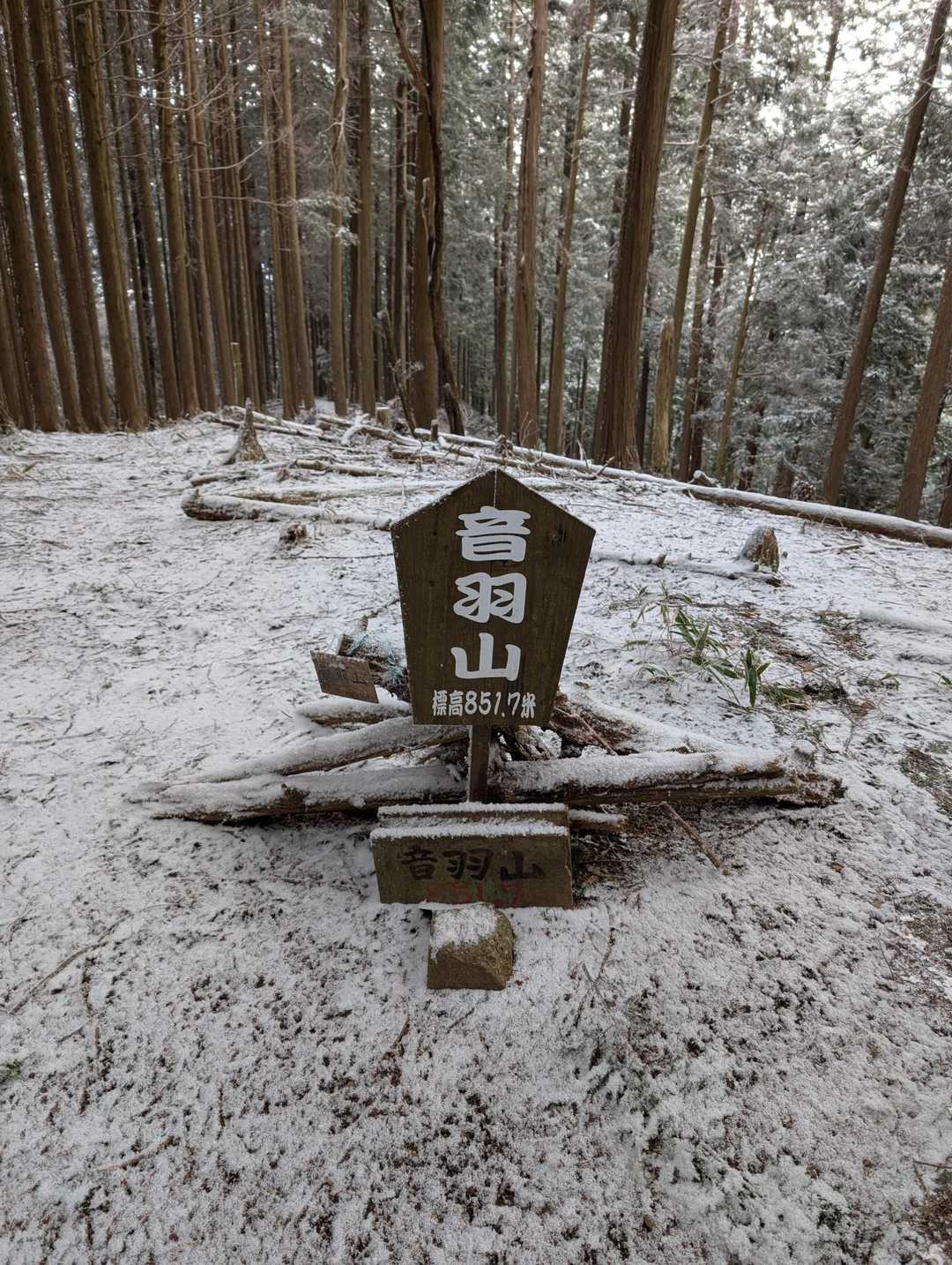 山頂