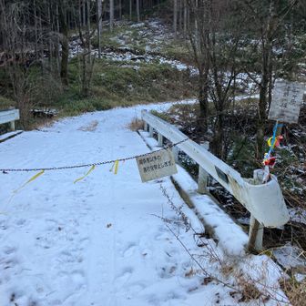 朝から冷たい風が吹き荒れてます