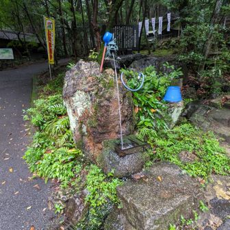 勢い良く出る水💦
山から流れ出るこの水を飲むのには、勇気が要ります😅
