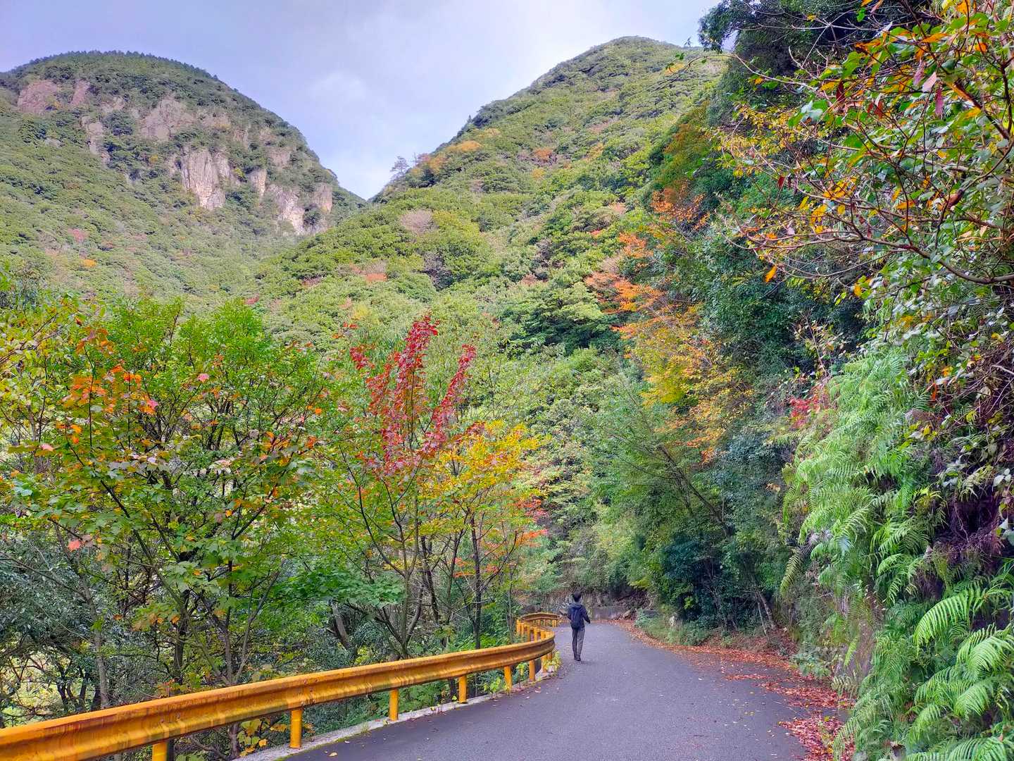 白滝山 周回コースの写真