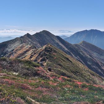 下山します👣