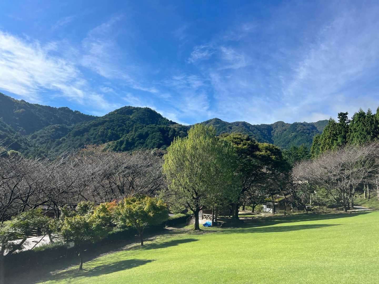 中央左の⛰がボス山の堀坂山❣️
近畿100