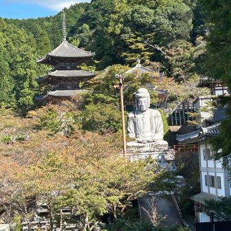 壺阪寺まで下りて来ました。桜の時期が有名だそうです。