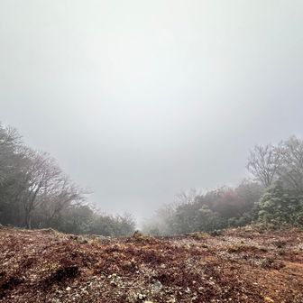 せっかくの眺望も今日は真っ白だ😭