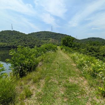 堰堤を渡ります
正面の山は右から左へ歩きます