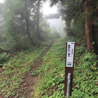 道宗道に出た