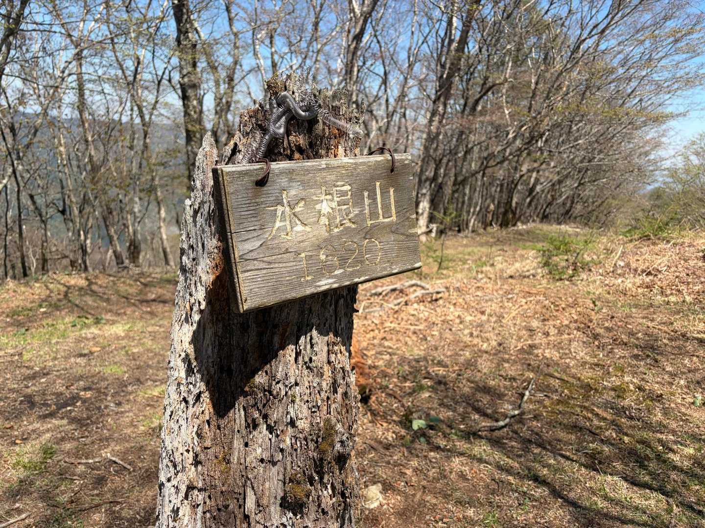 水根山。
これといって何があるわけではない地味なピークです