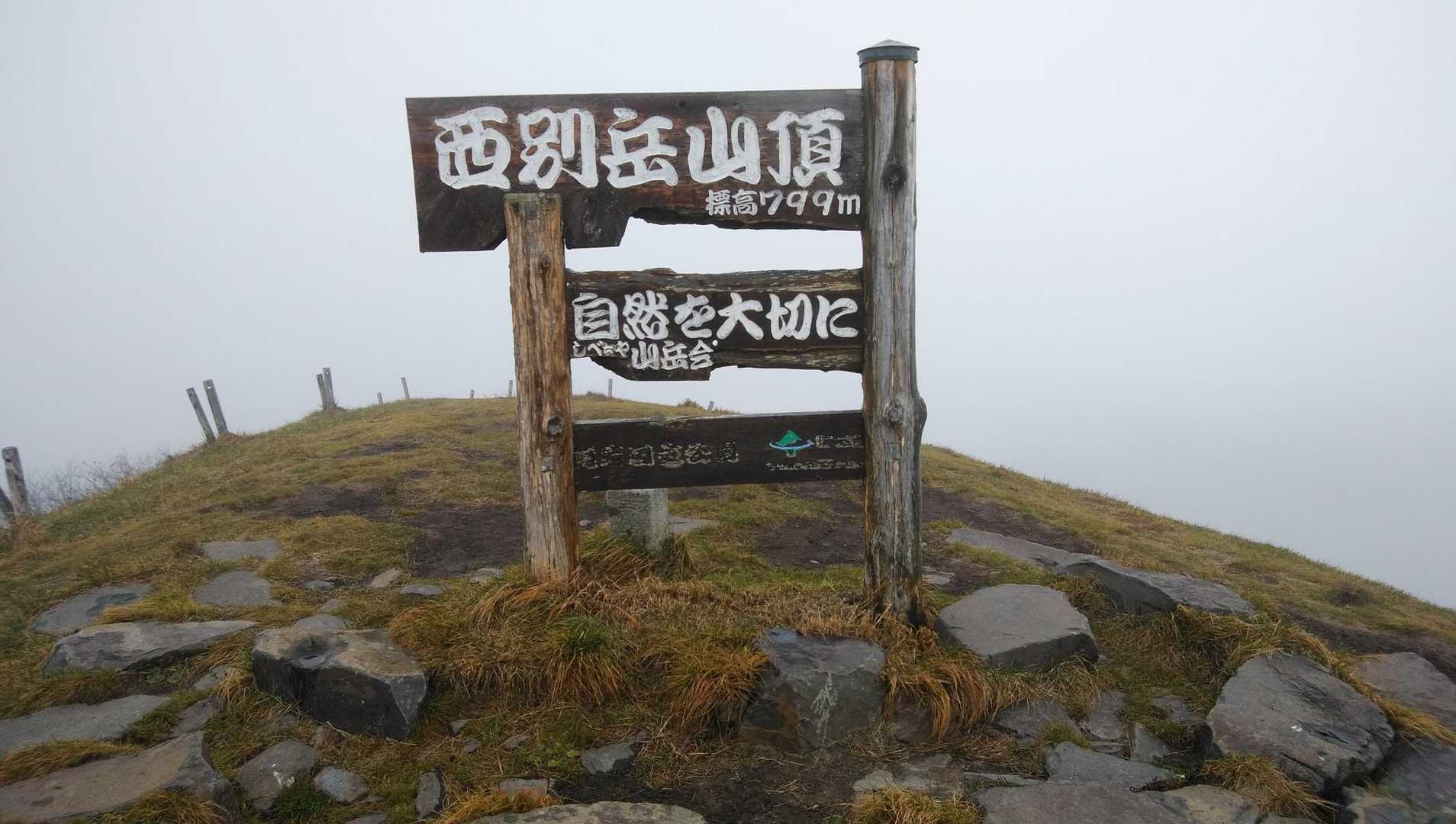 今日の頂上。