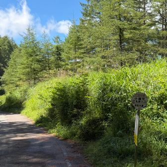 バス停なのね
