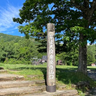 今日は気が急いたので行きだけ高速を使った
