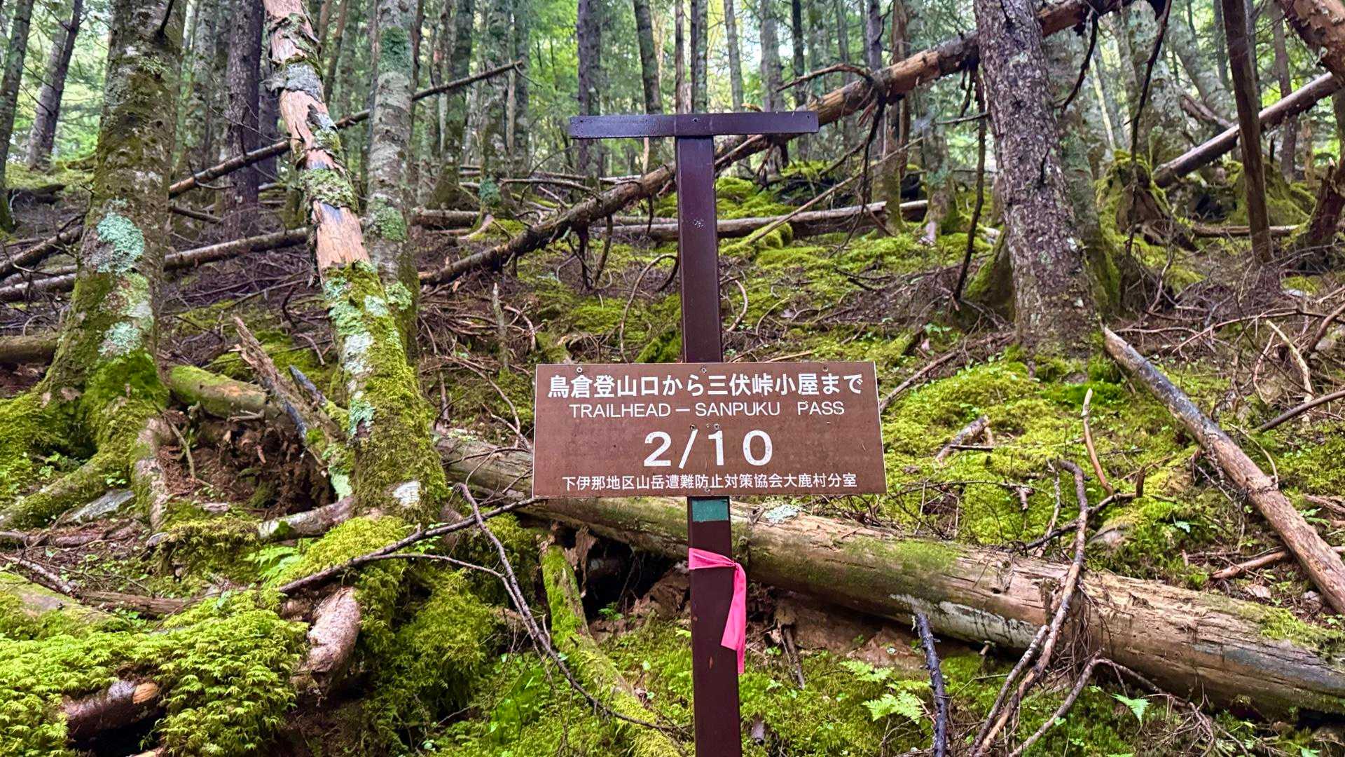 さらに進んで第2ポイント到達
この区間が意外と長く感じられた
距離が書かれてないのでどういう区間分けをしてあるかは不明だけど、
10等分なのだとしたら三伏峠、やっぱり遠いなあ(笑)
