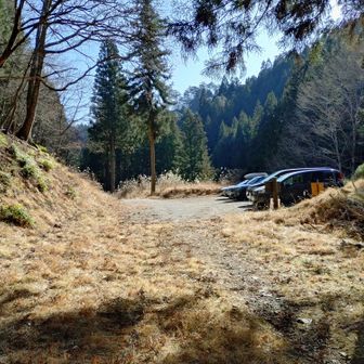 大量の落ち葉があったり木の枝が落ちてたりで下山道が不明瞭でしたが無事ゴール✌️