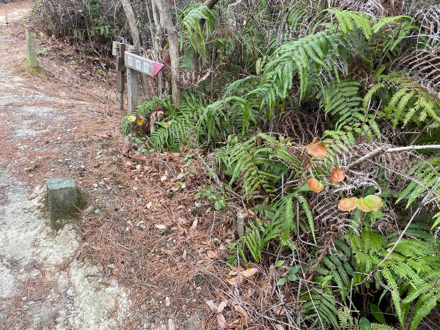 西尾根コース登山口-剣ヶ峰-みふみ山 周回コースの写真