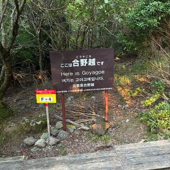あっという間にここまで