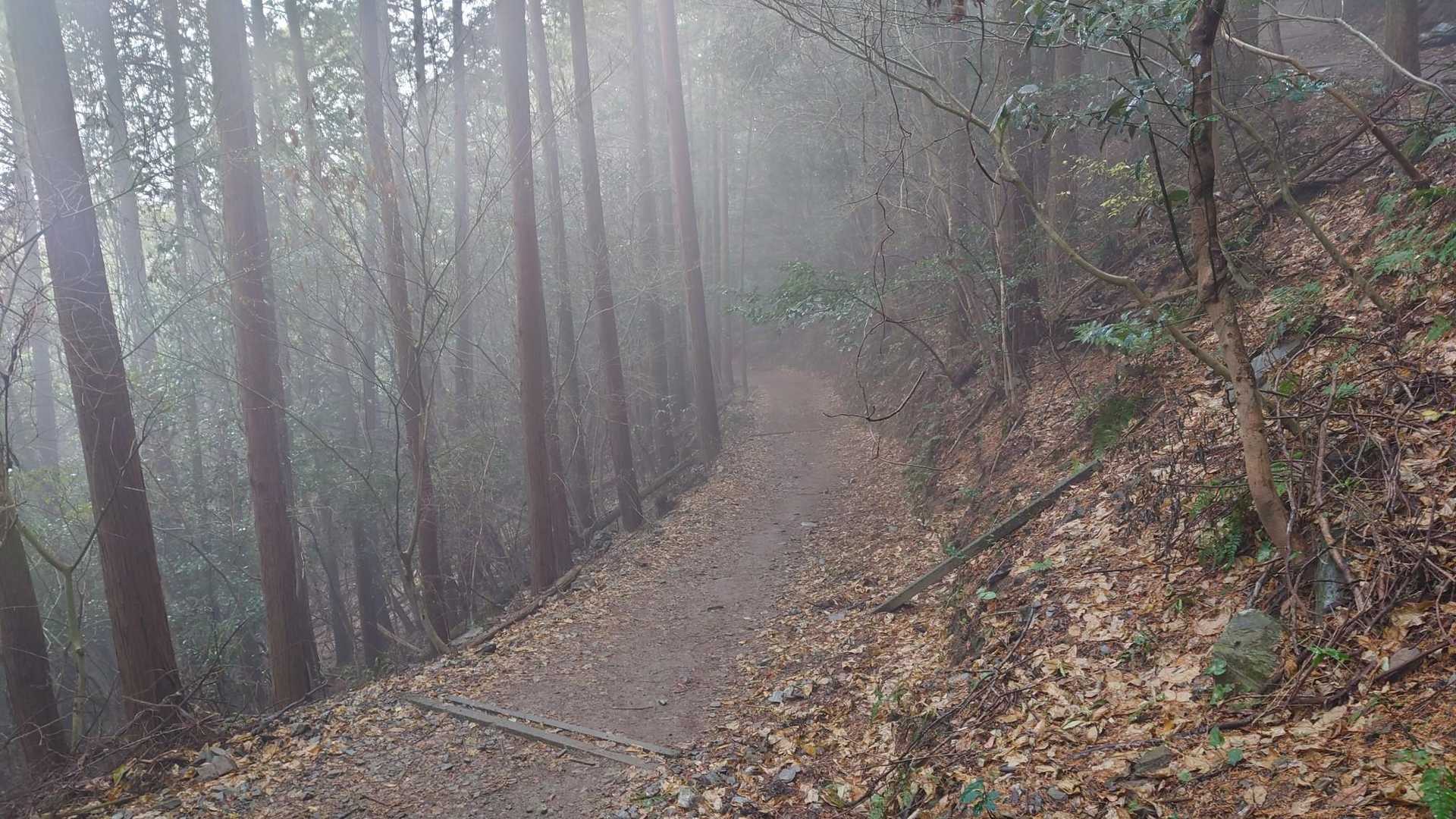 空気が美味しい