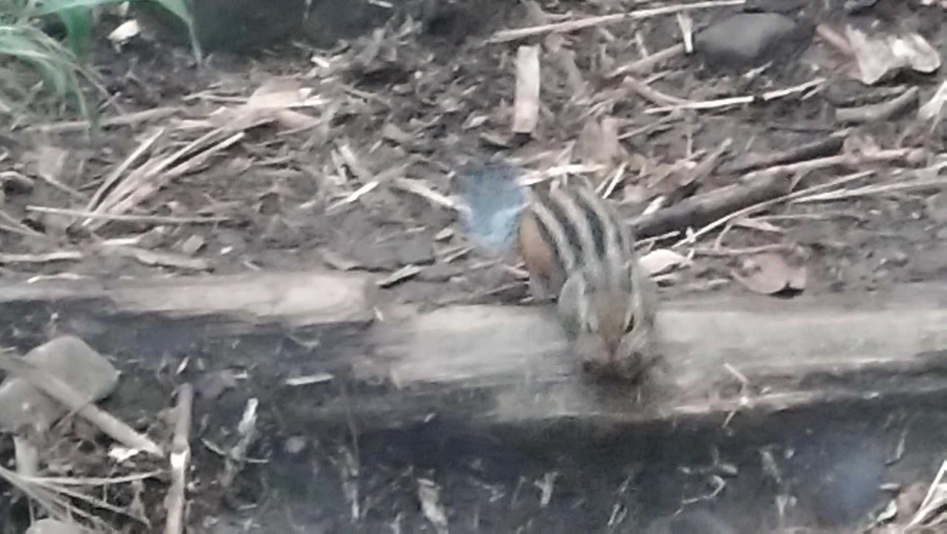 逃げる様子もなく…
近づいて来ました😉