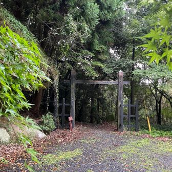 黒門まで下りてた。