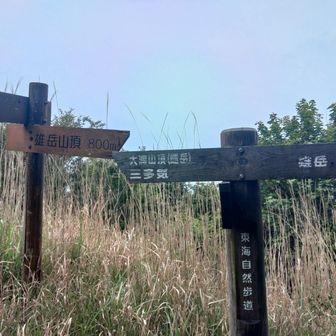 雌岳往復