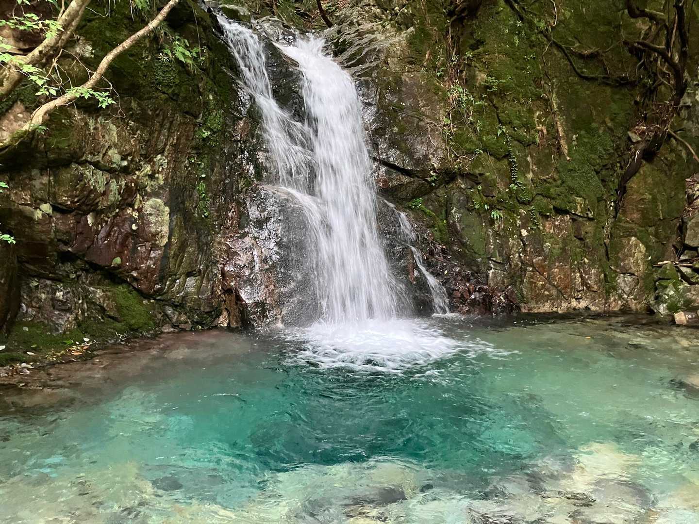 これ絶対においしい水❗️💦
滝壺の色が爽やかな色合いです🥺
