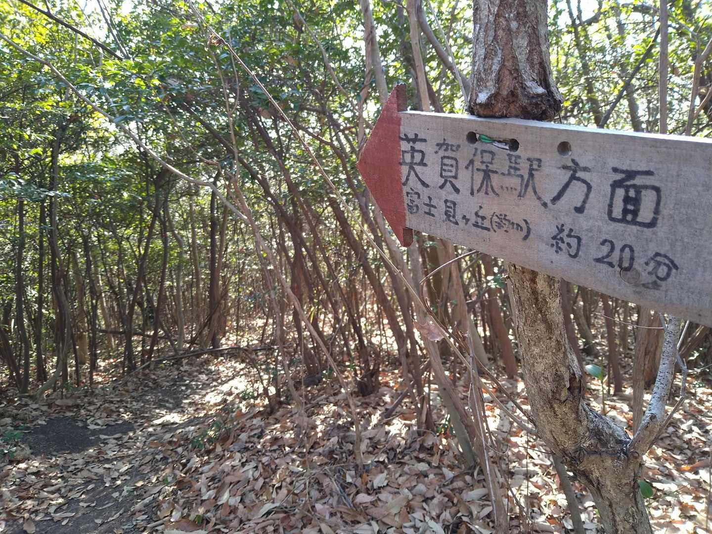 こちらは左です