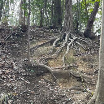 最後の山にロープ出てきた🪢