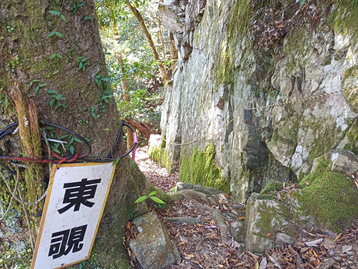 この正面が進むルート
(写ってないけど)左に切れ落ちた眺望良きところがある