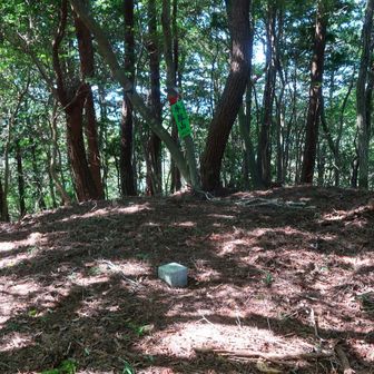三角点もある、こんな感じ…
戻ります