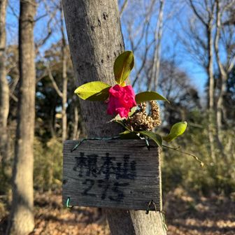 今日は根本山まで！！