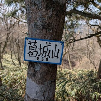 ズームイン！🫵