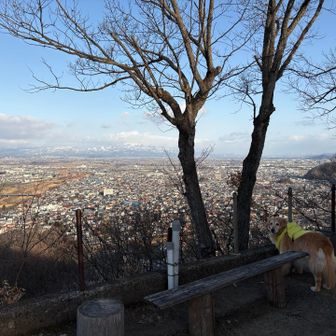 冬は見晴らし倍増やねー