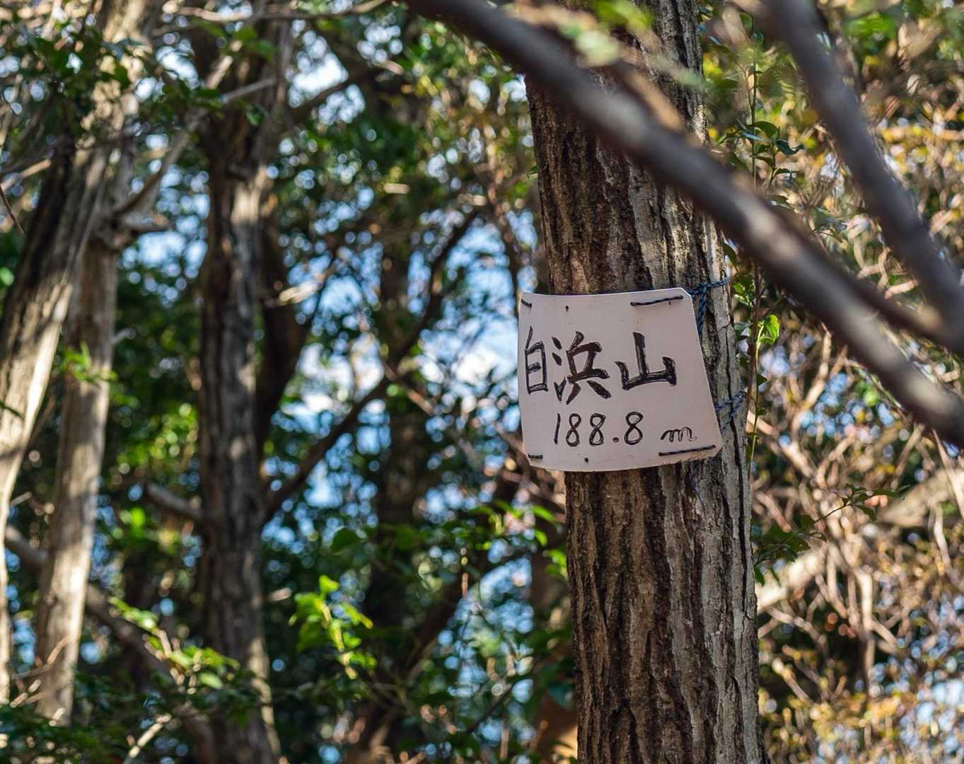 程なくして六座目　白浜山