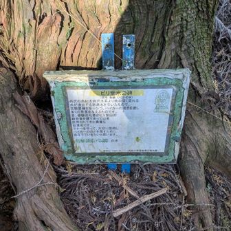 ビリ堂水なる石清水を引いてきたものがあるらしいのだけど見当たらない。