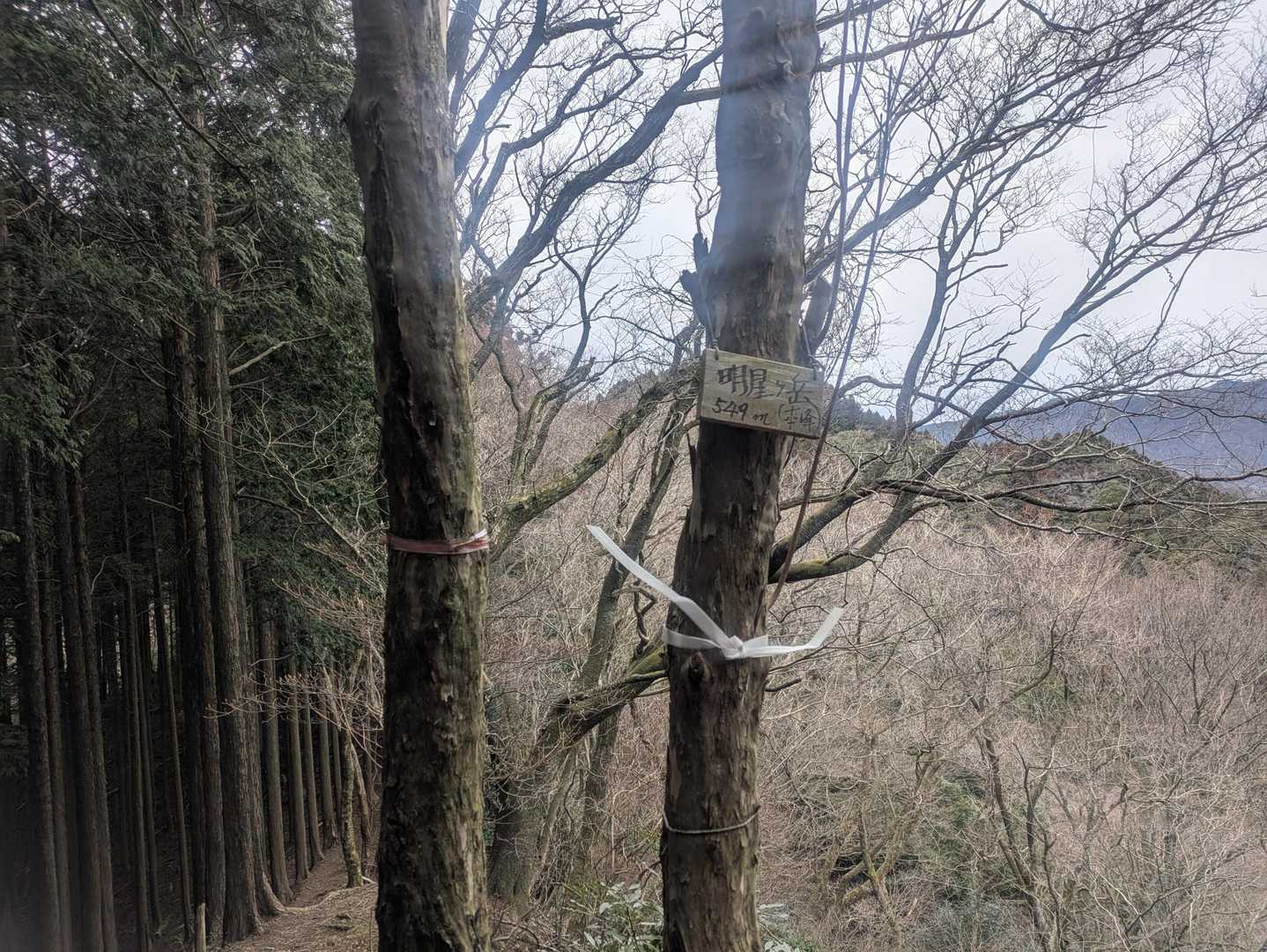 頂上到着